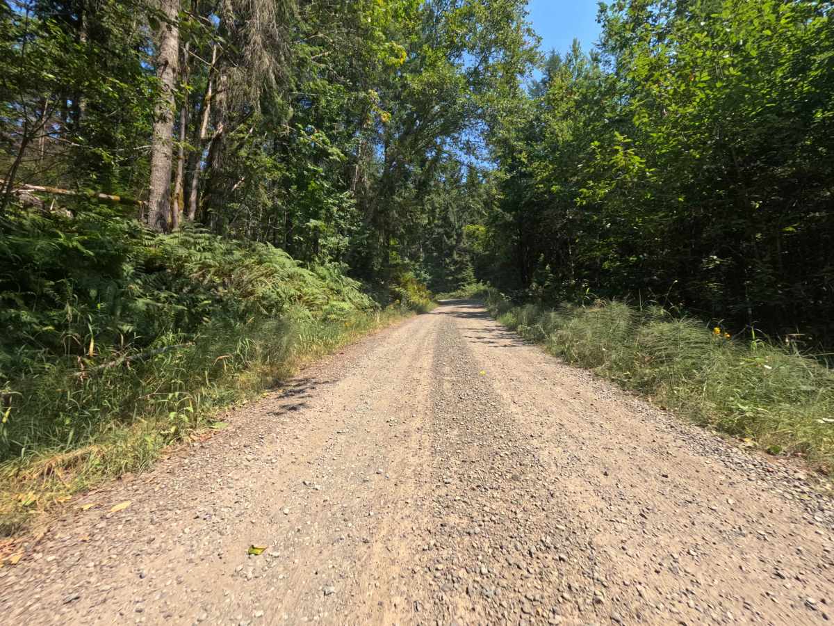 Gifford Pinchot - W1000 photo 2