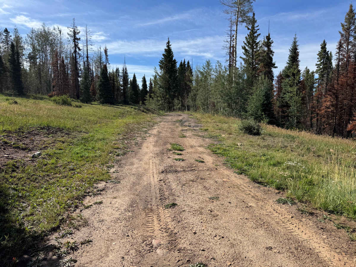 Hell Canyon Road photo 2