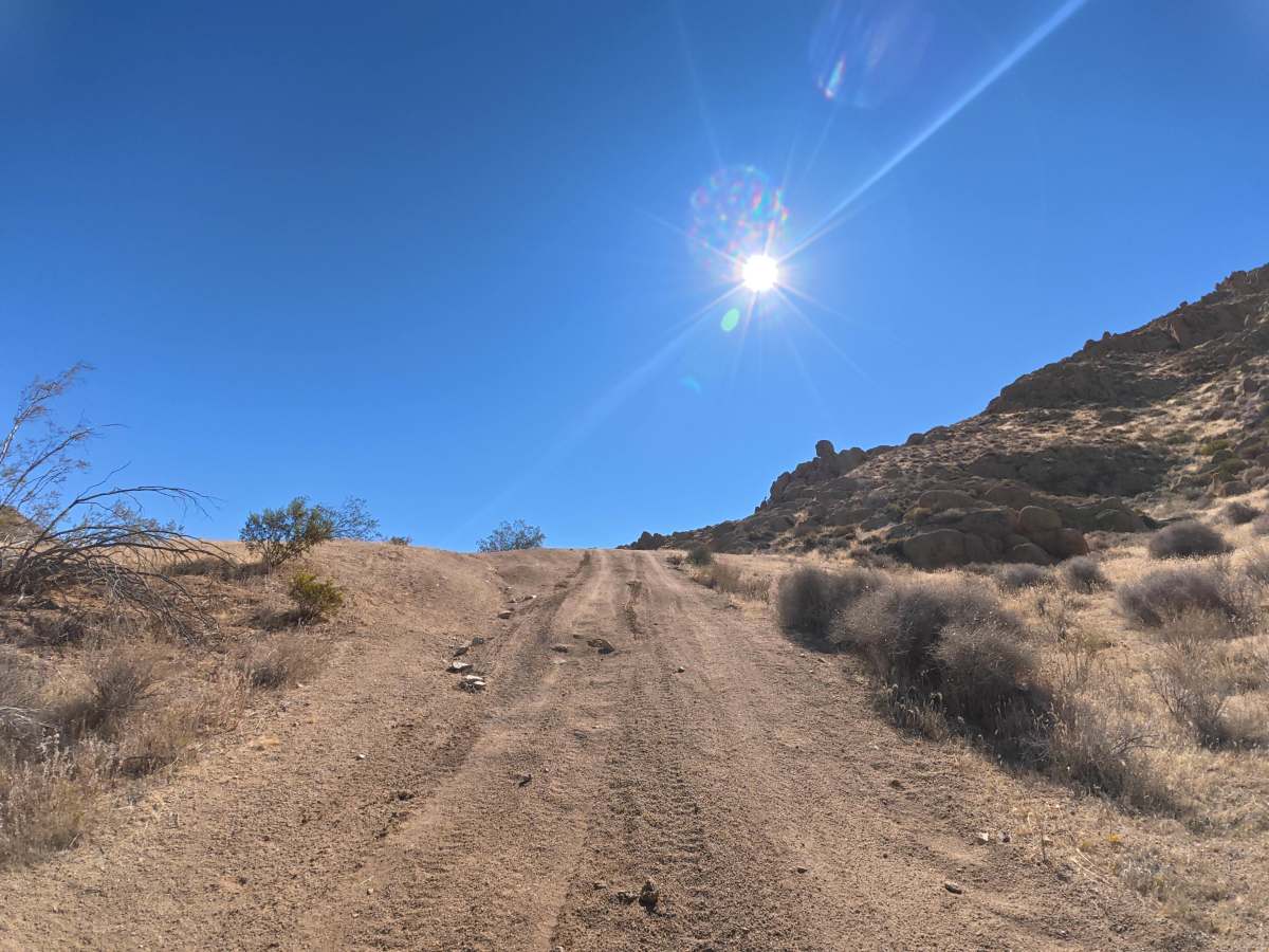 BLM SV11A photo 6