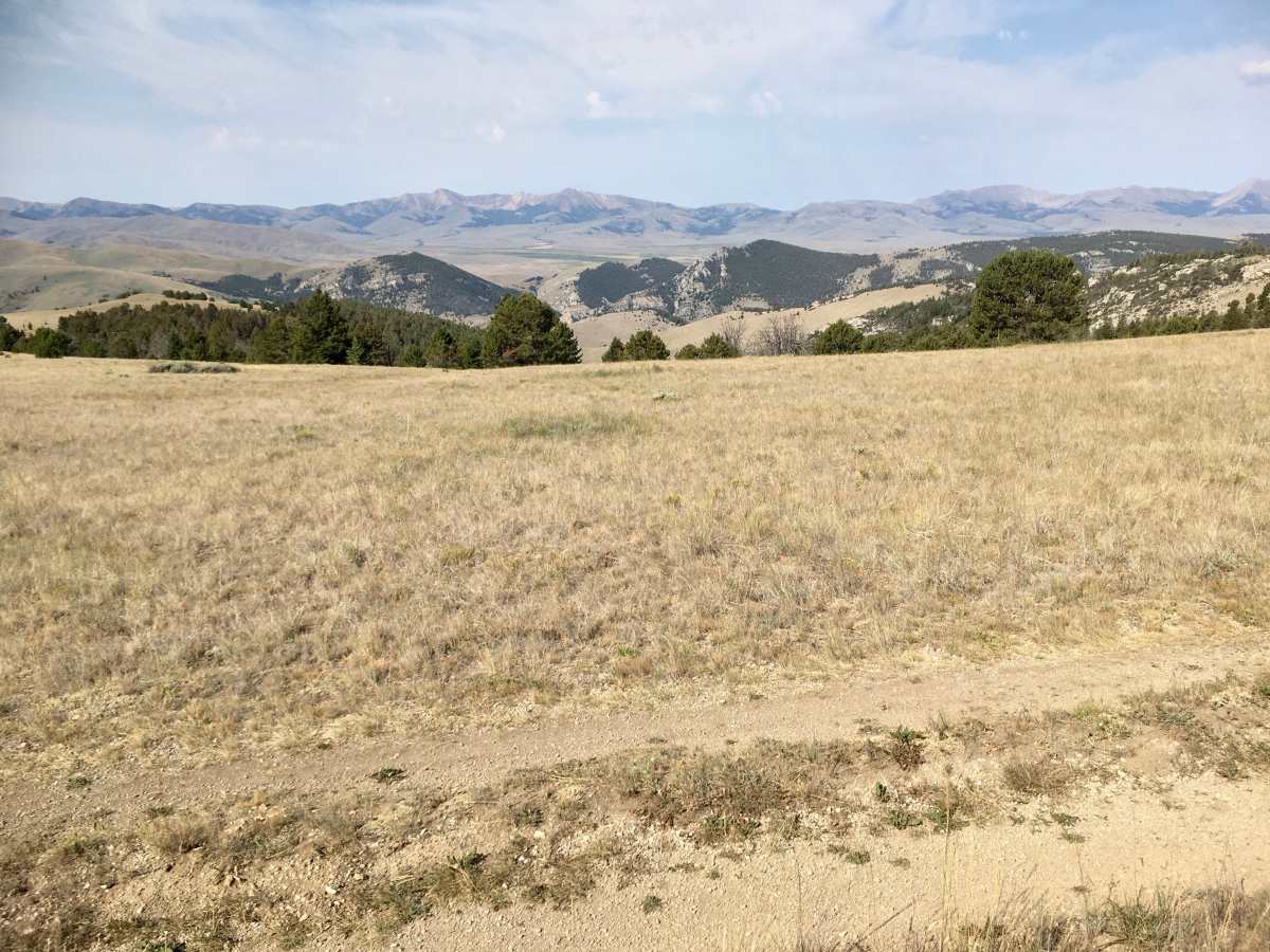 West Fork Ridge Road photo 5