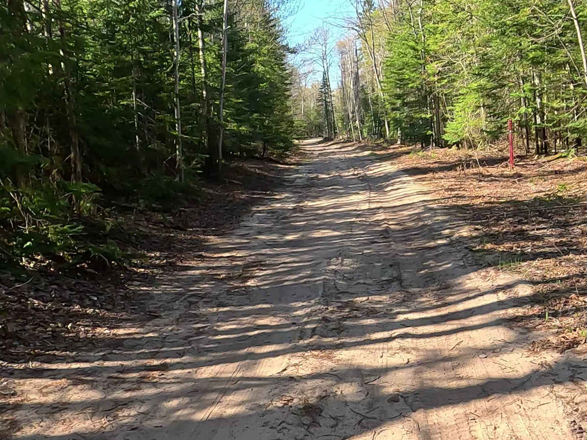 North Beaver Road - East photo 5