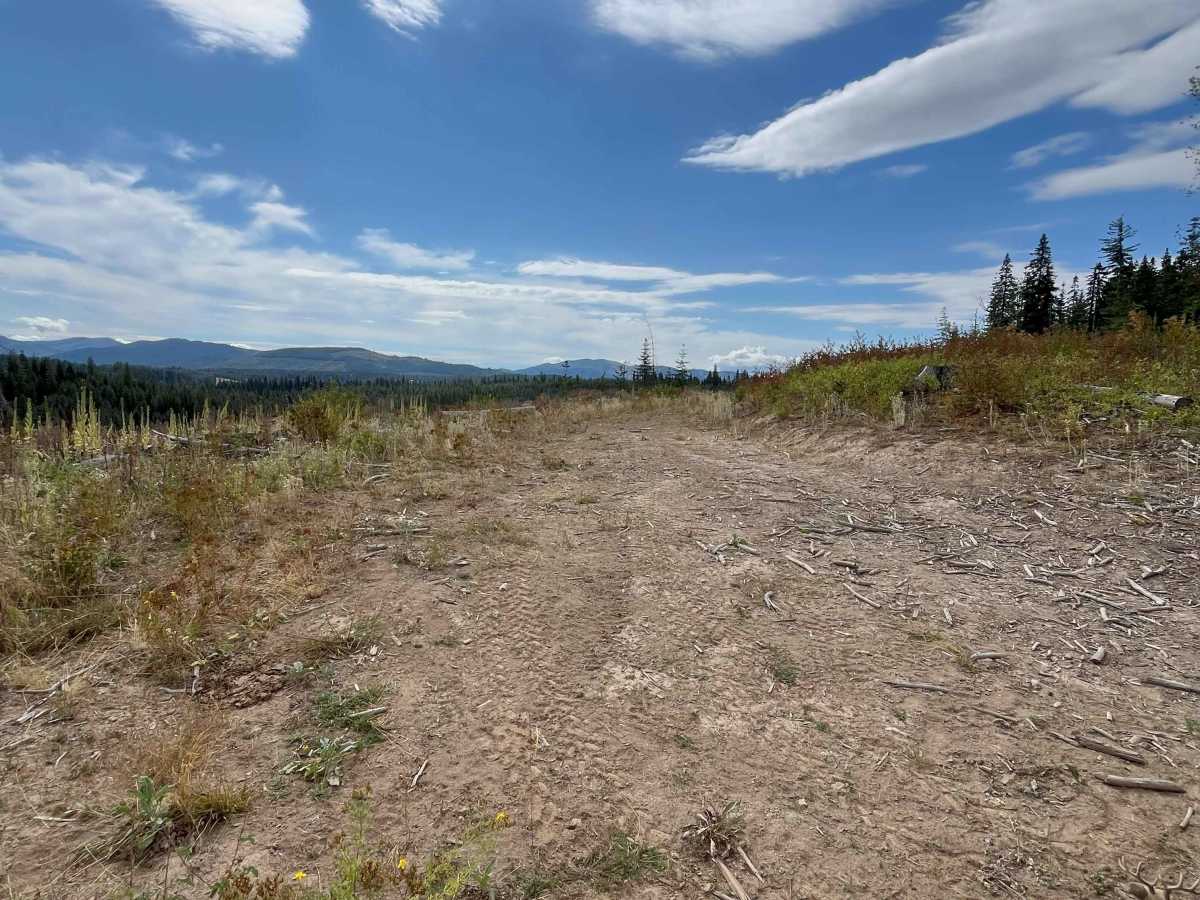 Lake Overlook Track photo 2