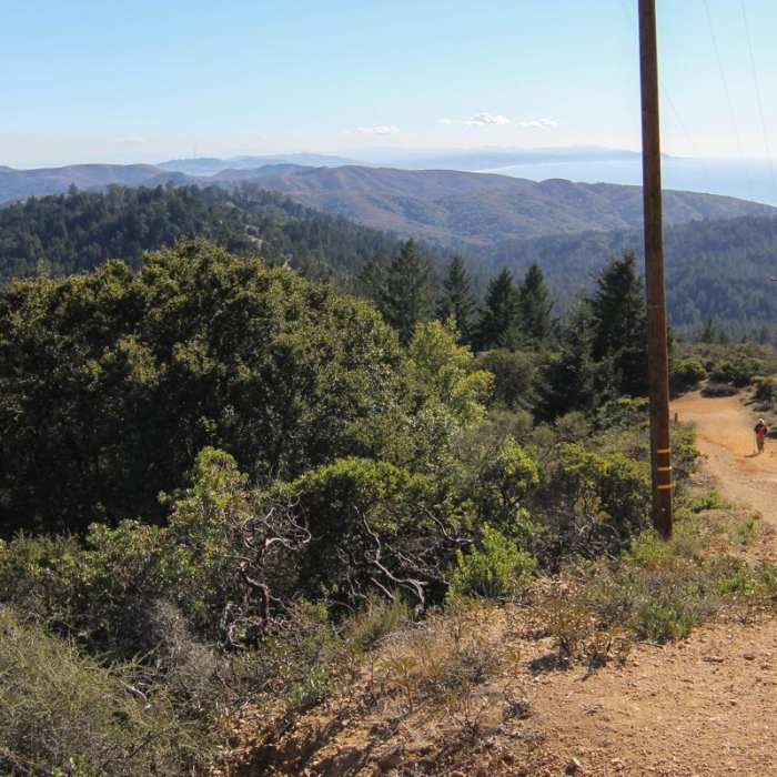 Near East Peak via Hogback + Fern Creek Trail