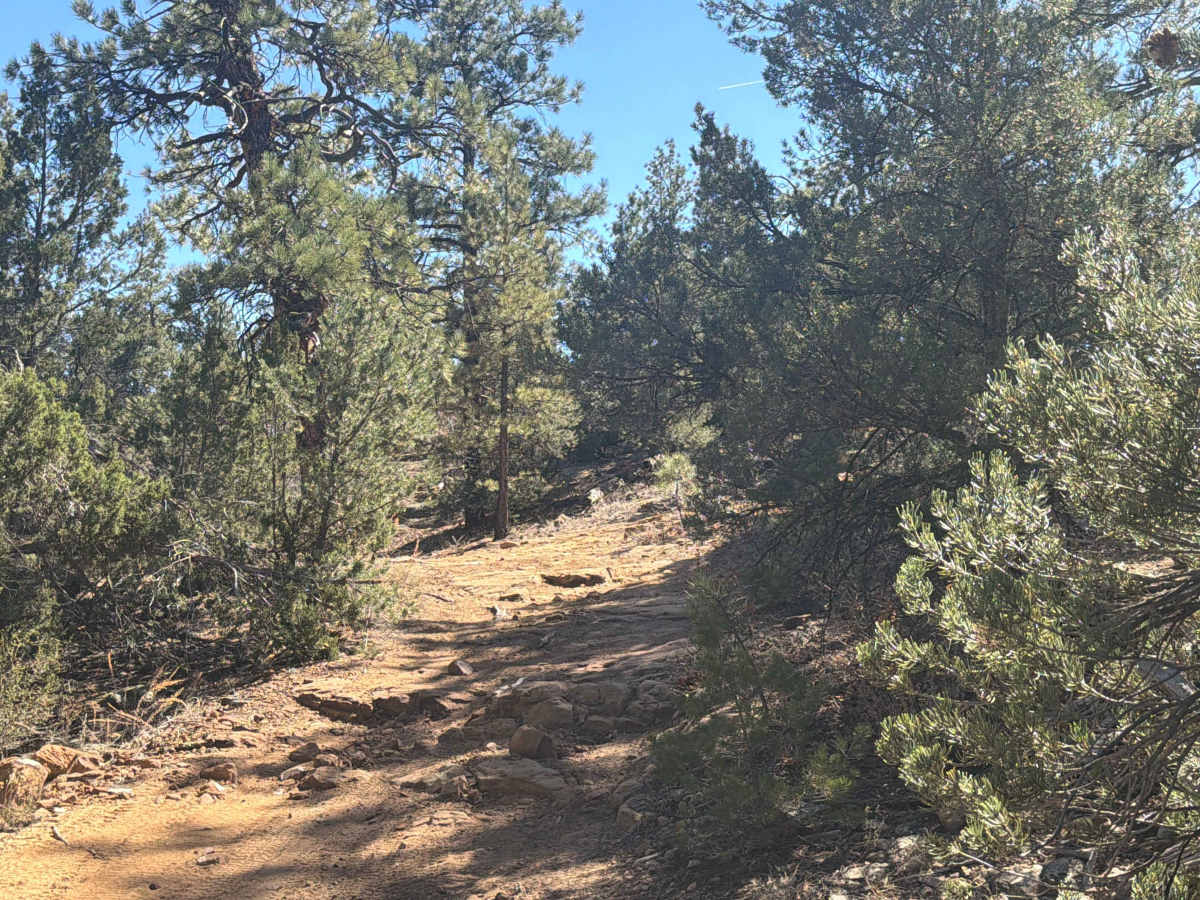 BLM 5830E photo 3