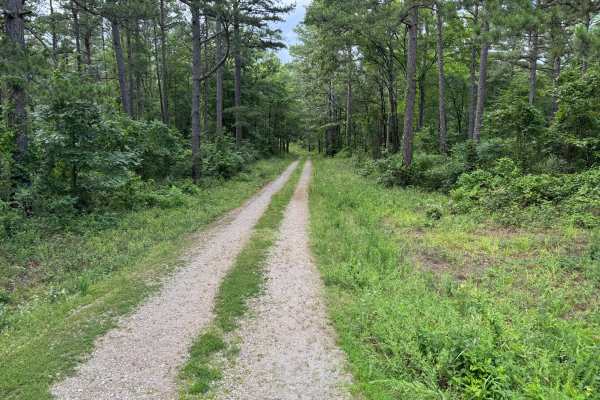 Old Piney Cemetery