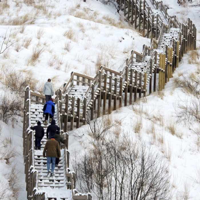 Climbing the Dune Succession Trail stairs. Near West Beach 3-Loop