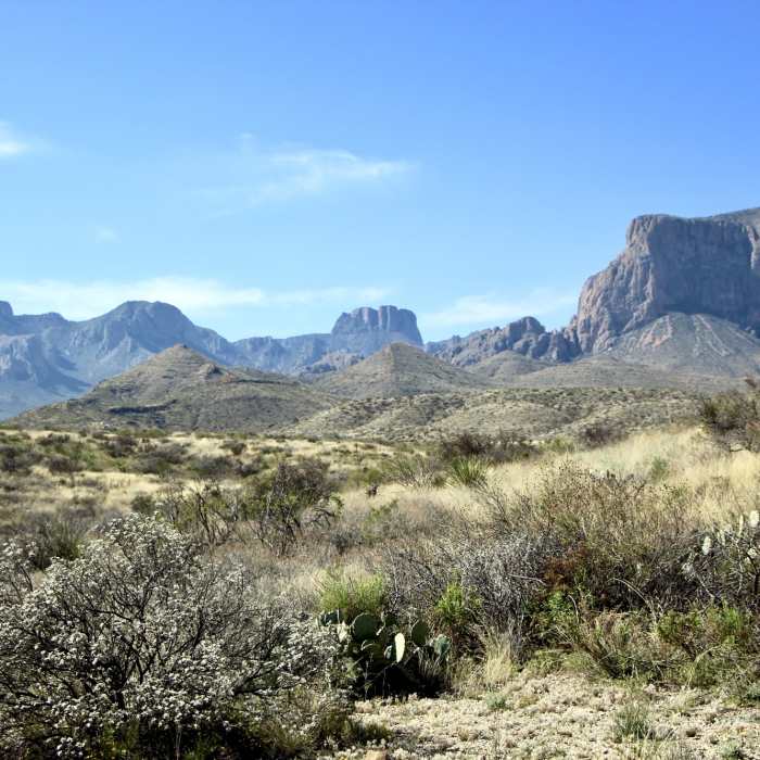 Near Bush Mountain Trail