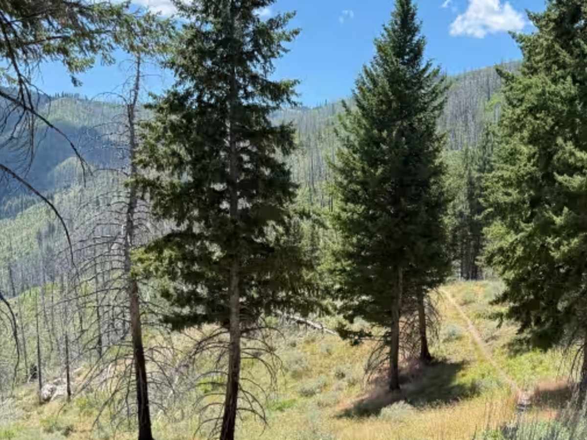 Gardner Gulch photo 5