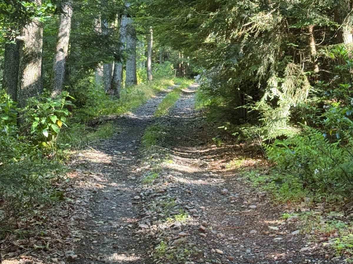 Stitzer's Well Trail photo 6