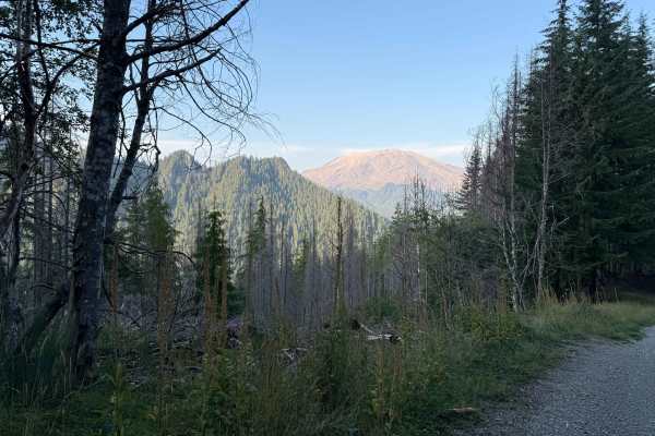 Cougar Creek Road - FS 812200-802200