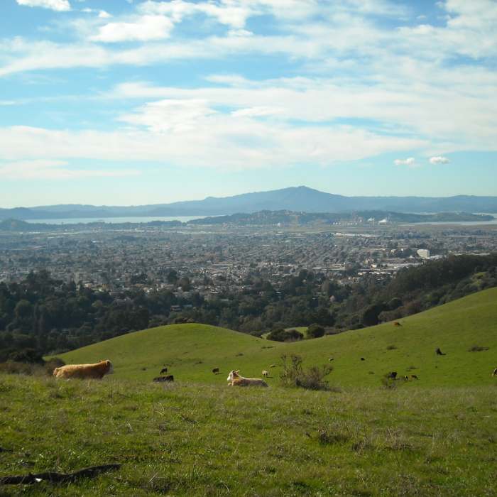 Near San Pablo Ridge Trail