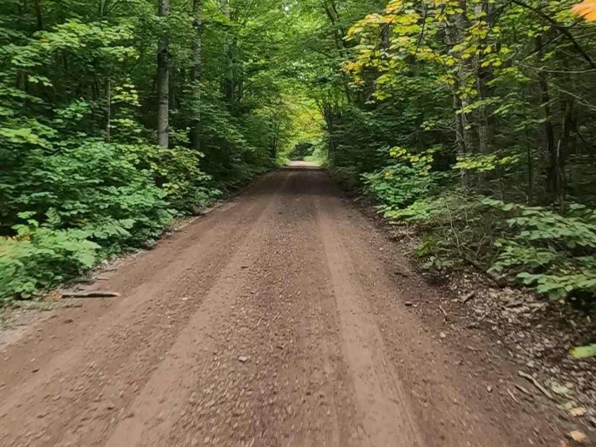 Rhody Creek Truck Trail/County Road 743 - FS 3080 photo 3