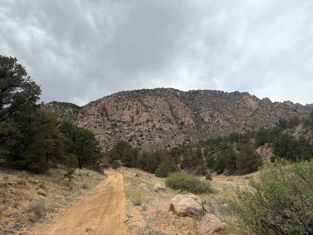 BLM 6020A photo 3