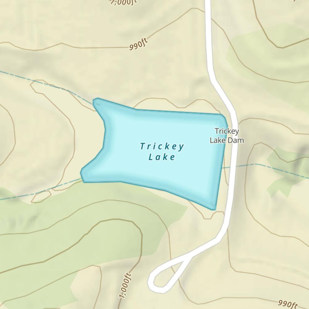 Trickey Lake photo