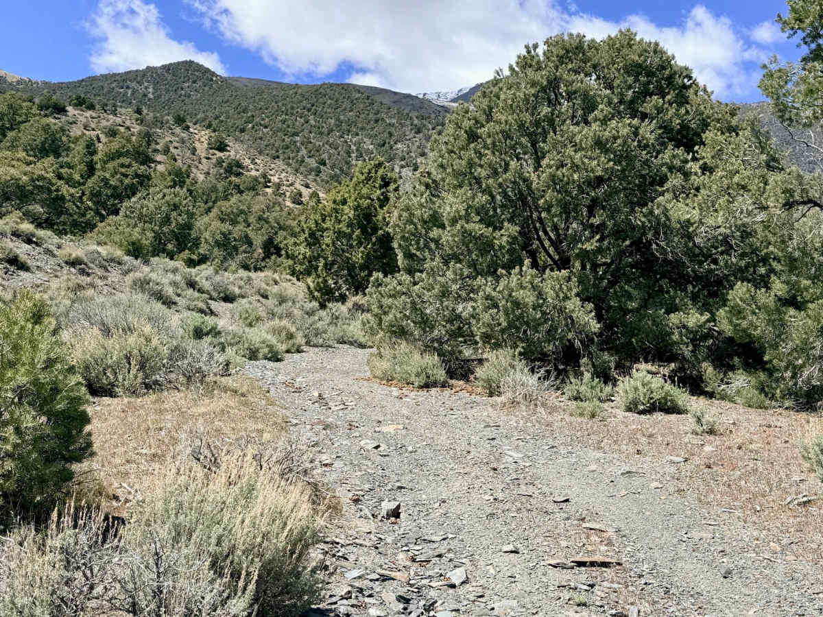 Blakely Canyon photo 4