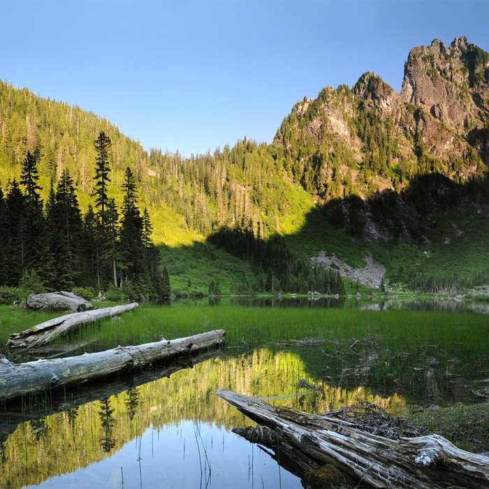 Near Heather Lake Trail
