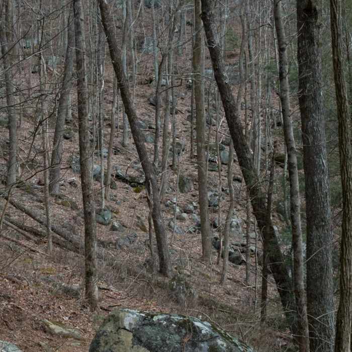 Near Grassy Mountain Loop via Emery Creek
