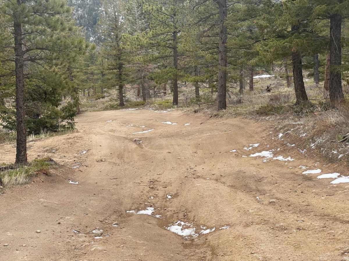 Cave Creek Road photo 6