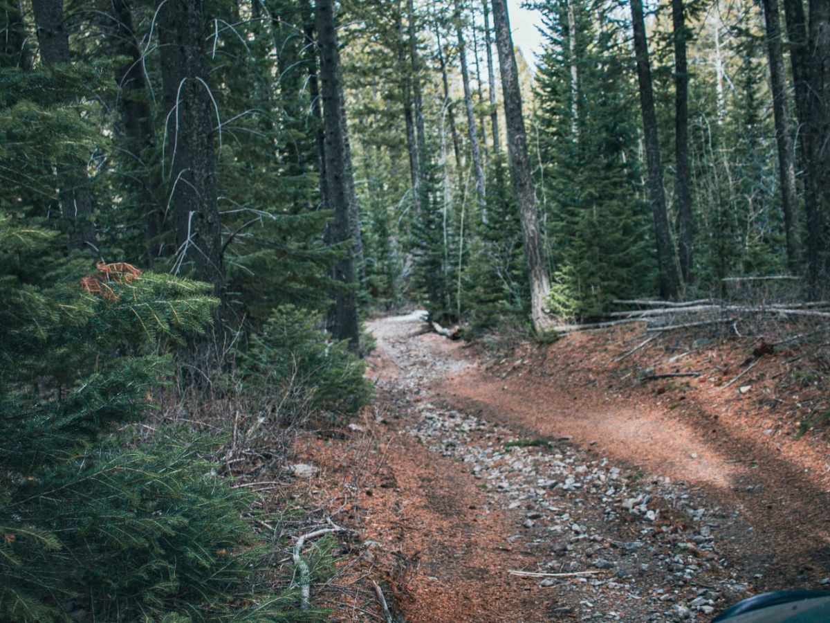 Pole Canyon Road photo 6