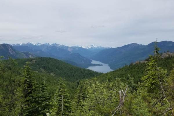 Amabilis Mtn Summit