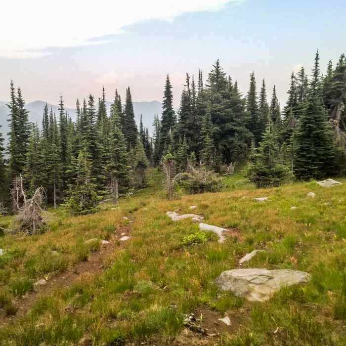 Near Pacific Northwest National Scenic Trail Section 4