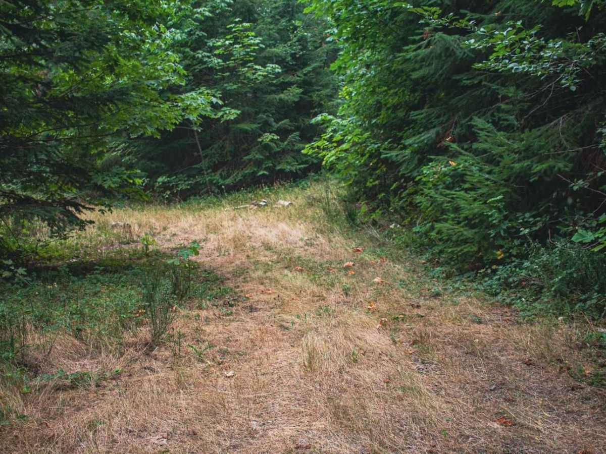 Cook Creek photo 2