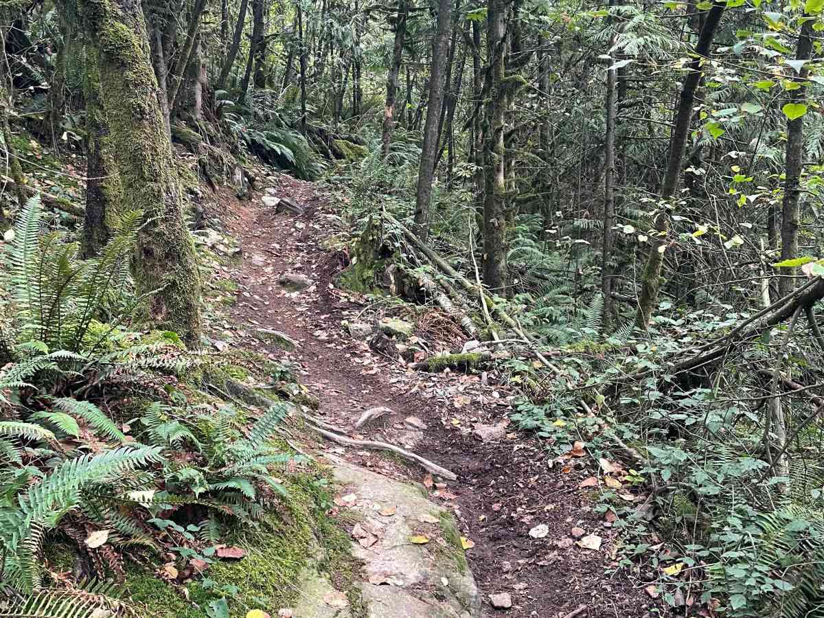 Easy Line trail photo