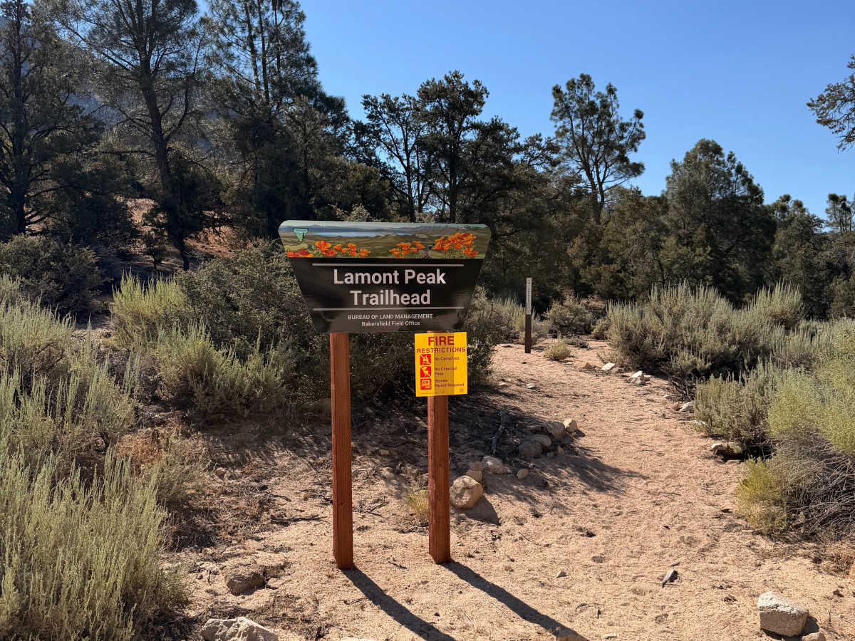 Canebrake Road photo 5