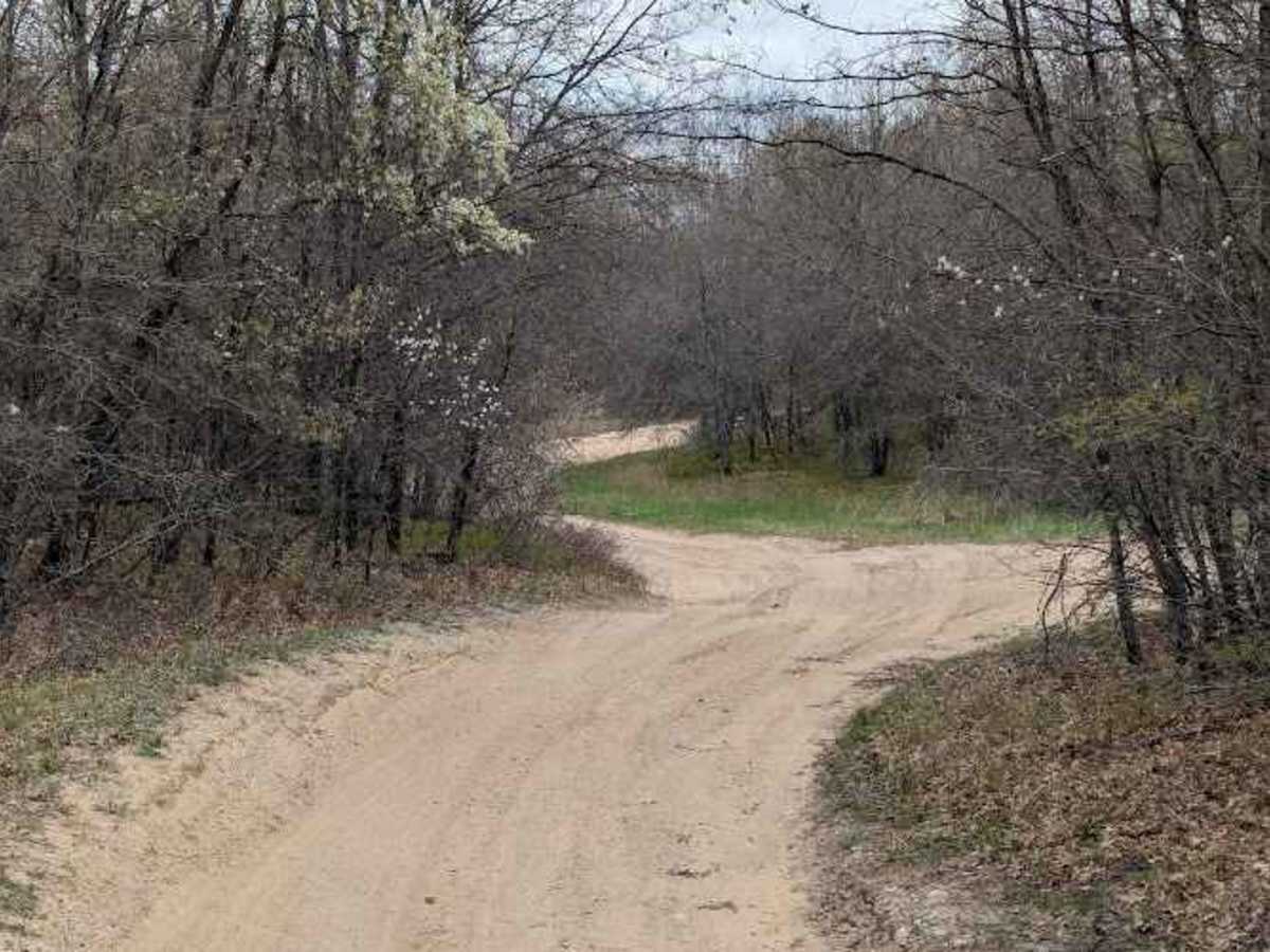 Loose Lane photo 2