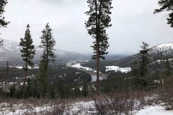 Albert Lothrop Rd 5563