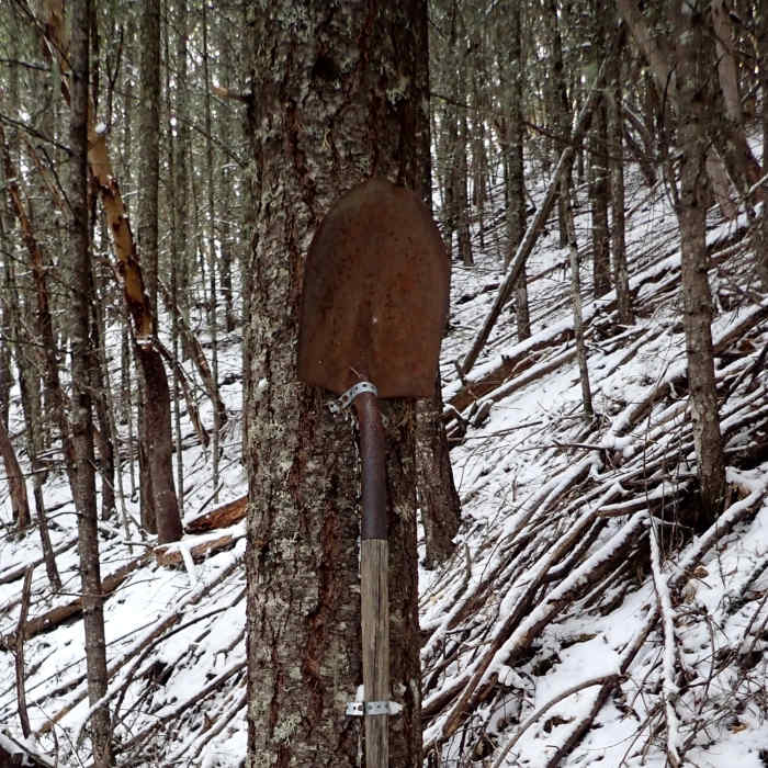 Near Twin Peaks Trail