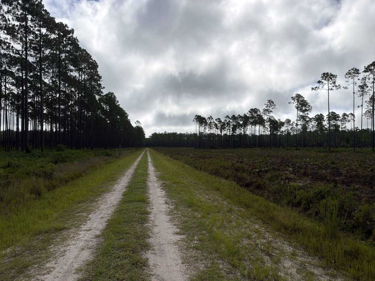 Osceola Connector - FS 216 photo 3