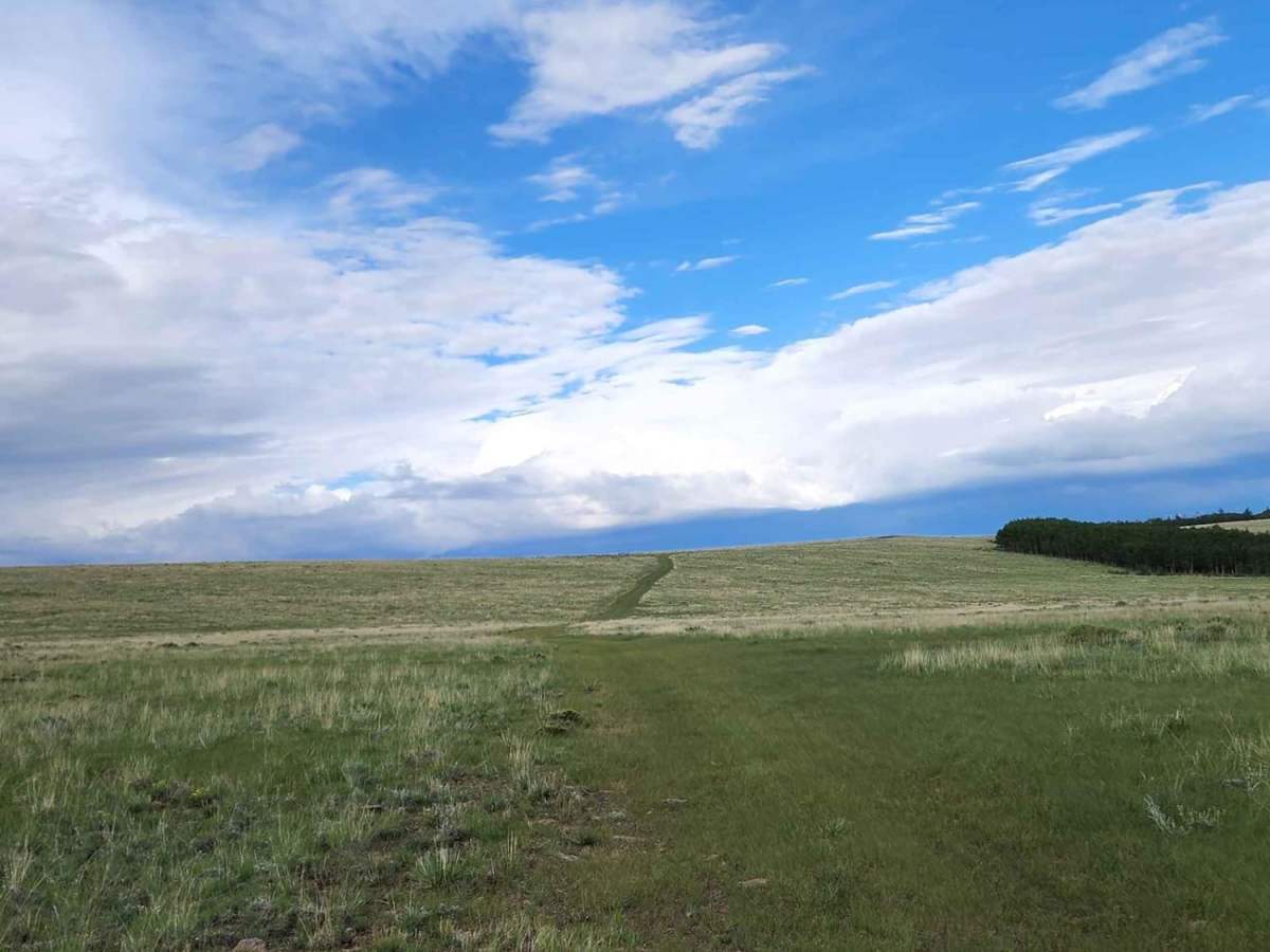 Upper South Park photo 6