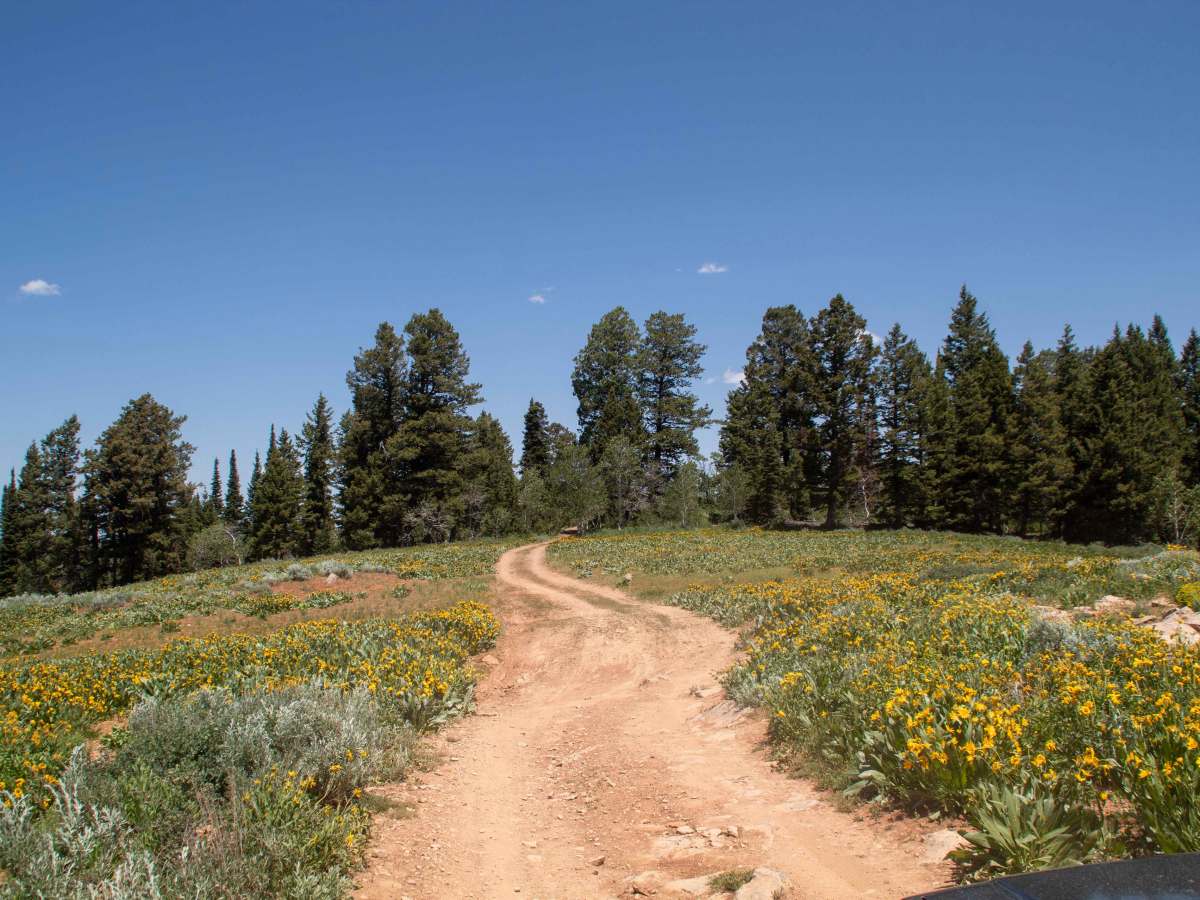 Baxter Ridge Road photo 2
