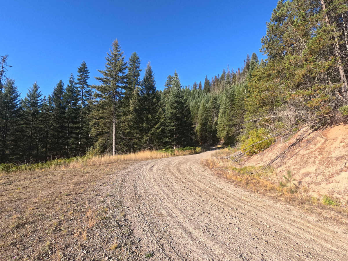 Klahowya Creek - FS 1075 photo 4