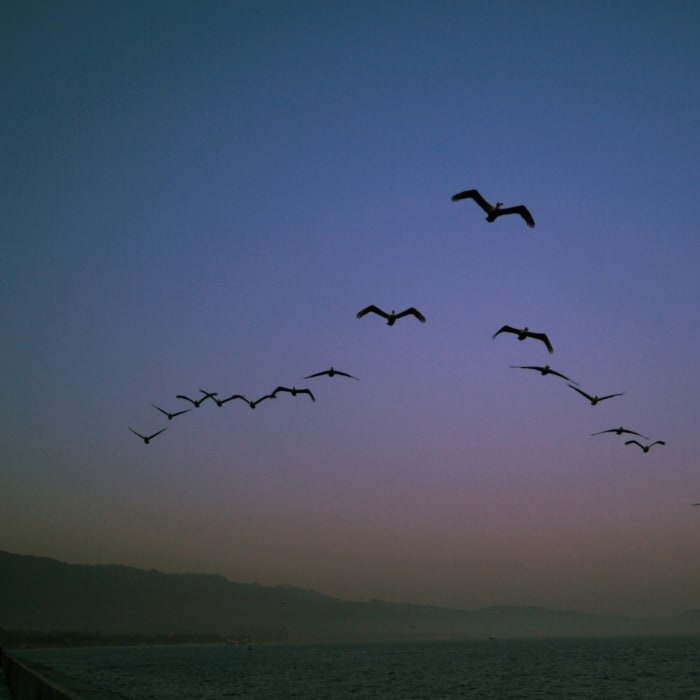 Near Santa Barbara Harbor