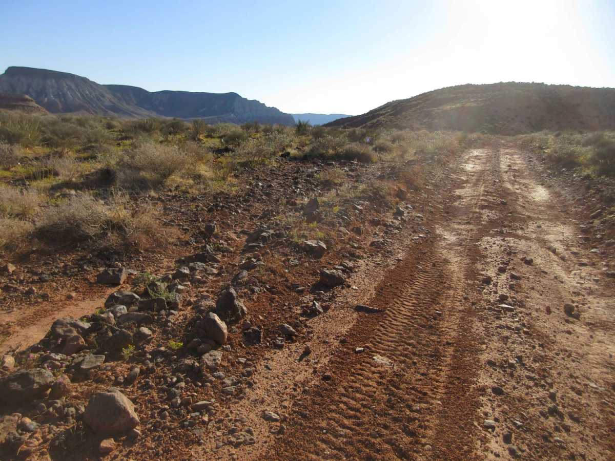 Sunshine - Temple Trails Interconnect trail photo
