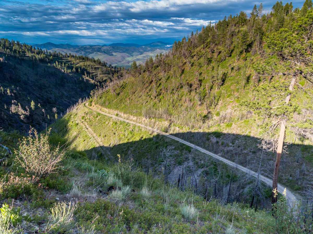 McClain Creek Road (FS 1311) trail photo