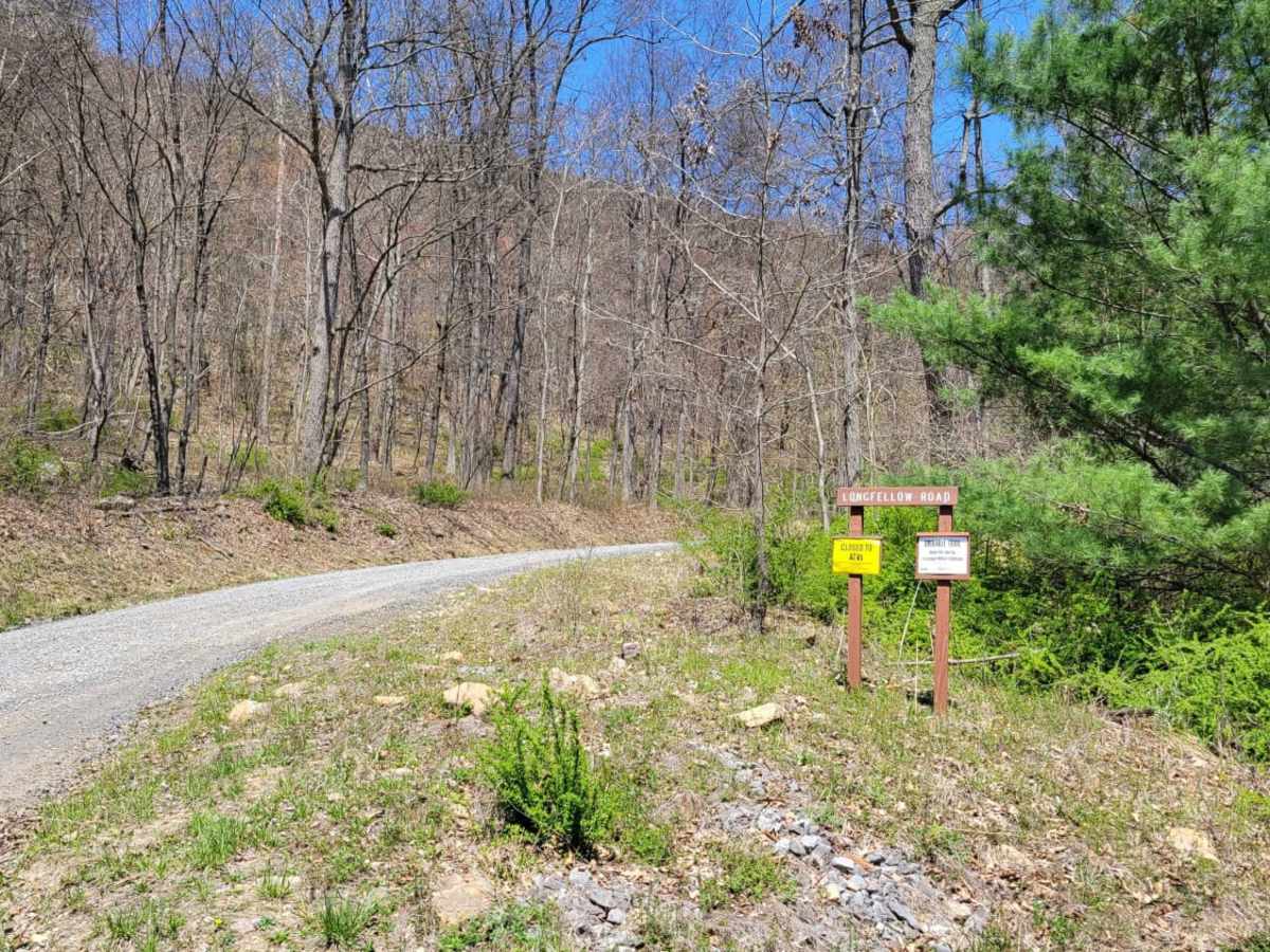 Longfellow Road trail photo