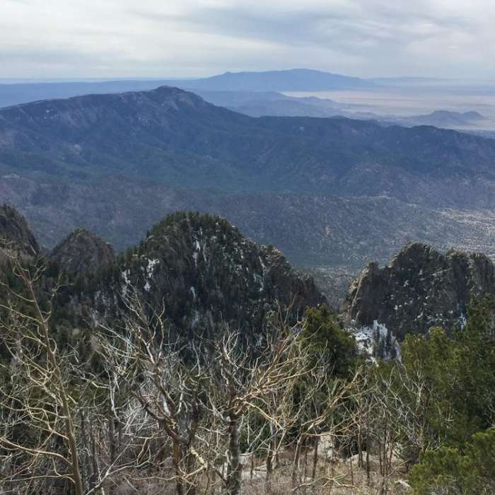Near Sandia Crest to Sandia Peak Tramway Trail