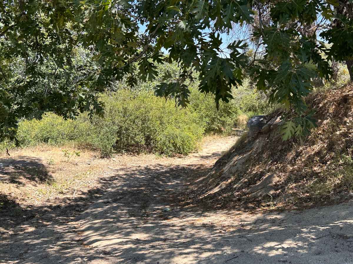 Firebreak Trail photo 2