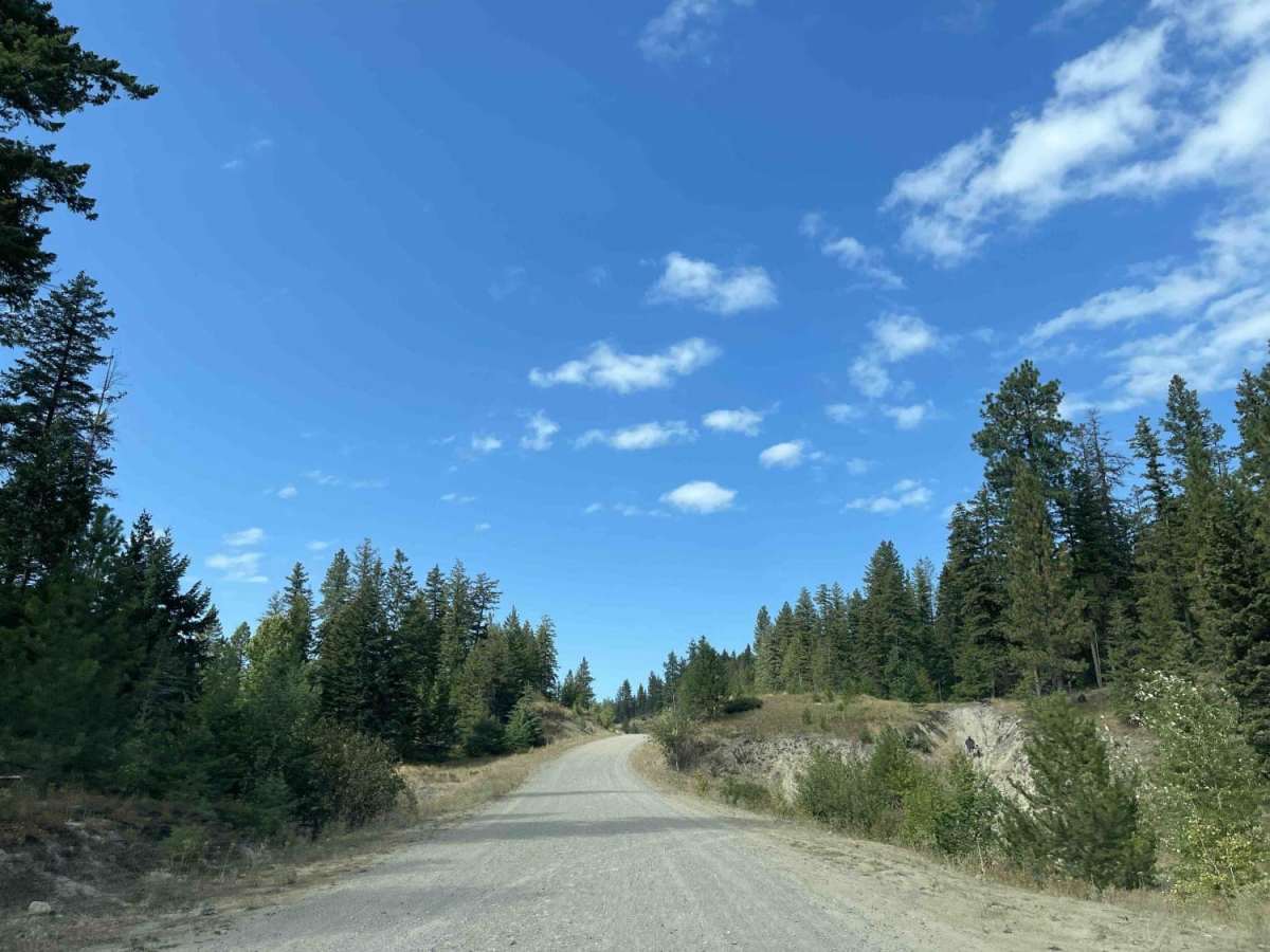 Bear Lake Road to Esperson Lake photo 3
