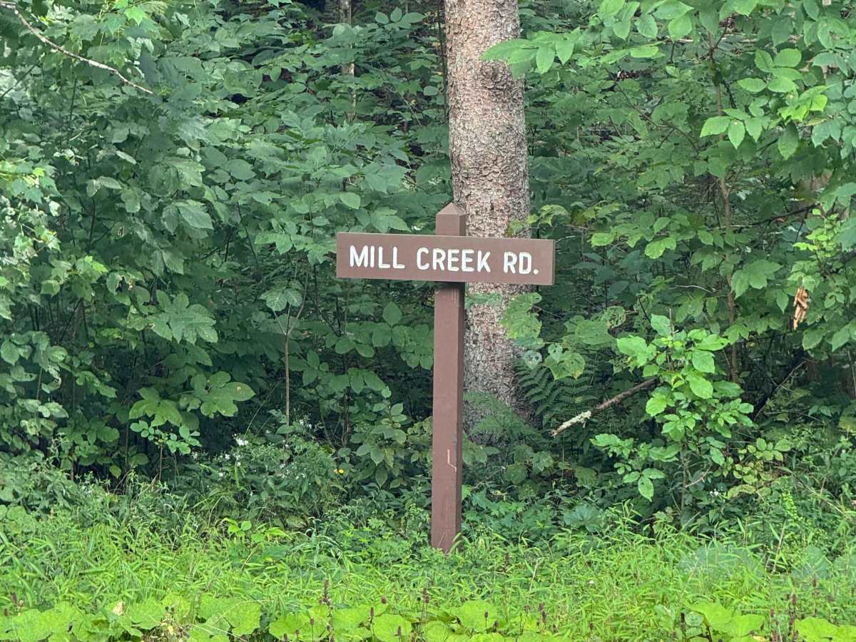 Mill Creek Road photo 2