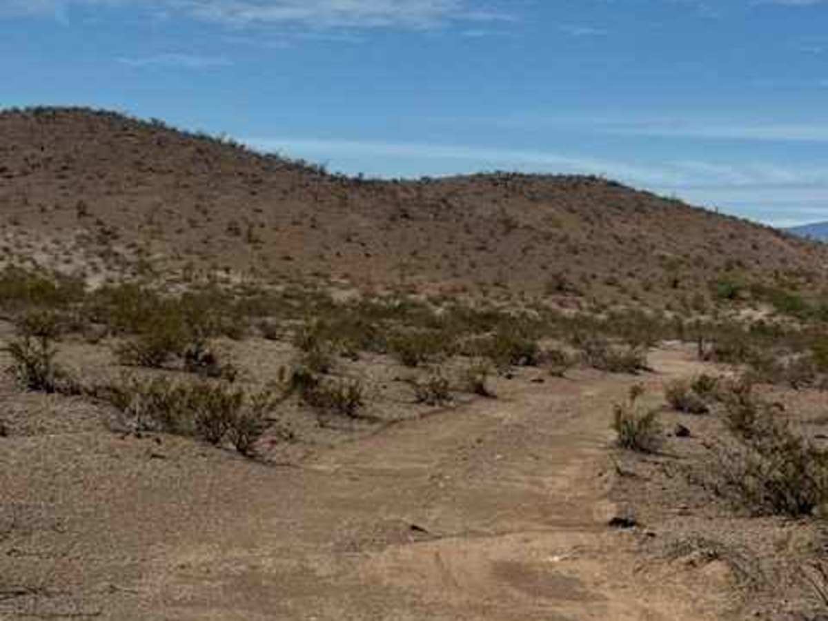 BLM PE1025 photo 5