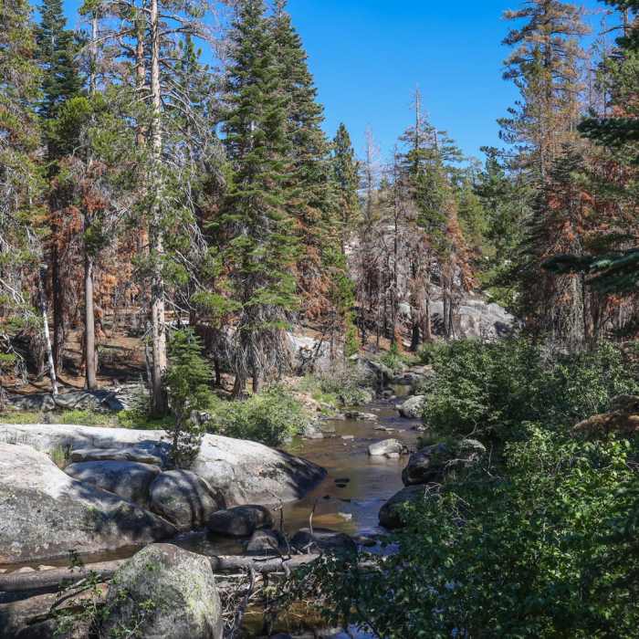 Near The Potholes Swimming Hole