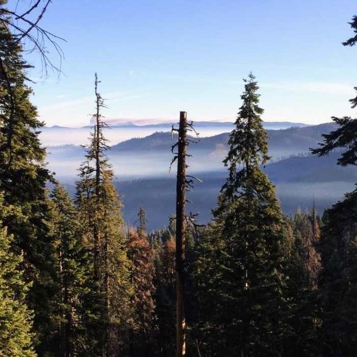 Near Kelsey Creek to Cold Springs