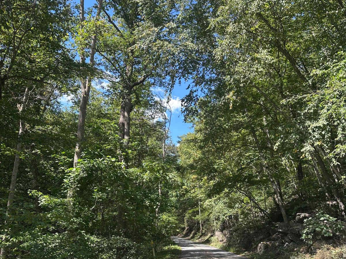 Strasburg Reservoir trail photo