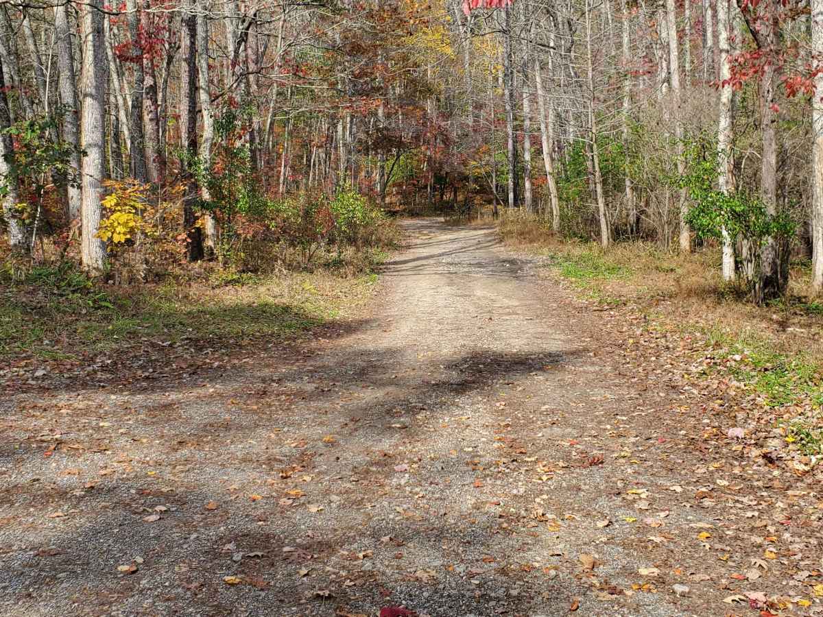 West Skeenah - FS 640 trail photo