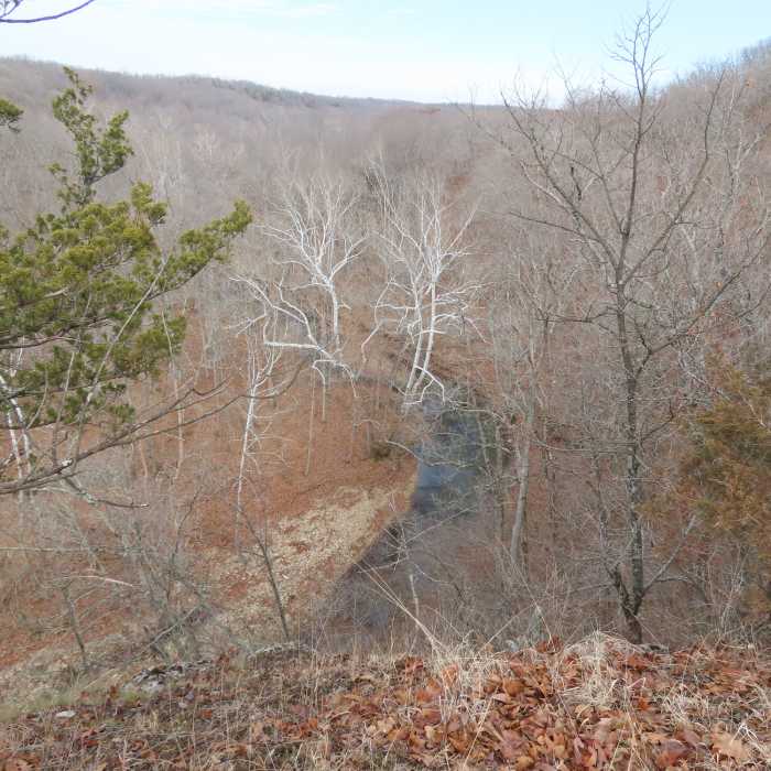 Near #2 Connector Trail