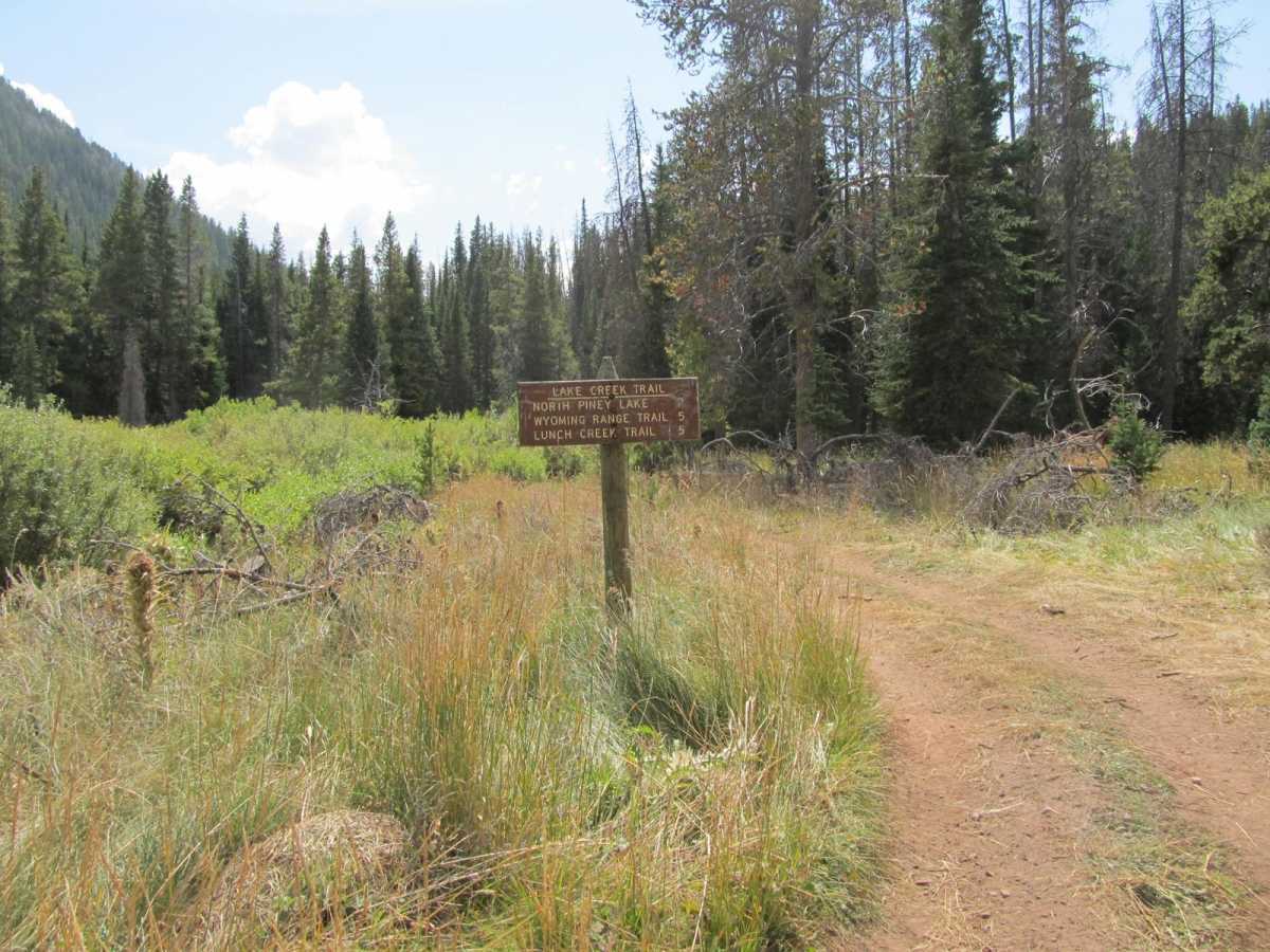North Piney Lake photo 4